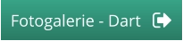 Fotogalerie - Dart