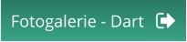Fotogalerie - Dart