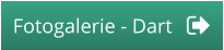 Fotogalerie - Dart