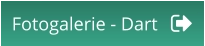 Fotogalerie - Dart